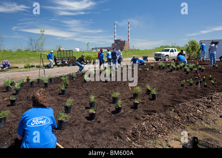 Les bénévoles de l'éducation des plantes Jardin des plantes indigènes à Detroit River International Wildlife Refuge Banque D'Images