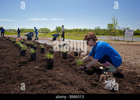 Les bénévoles de l'éducation des plantes Jardin des plantes indigènes à Detroit River International Wildlife Refuge Banque D'Images