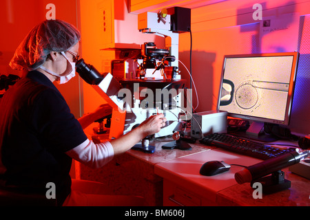 Clinique privée pour la fécondation in vitro. La fécondation artificielle. Spermatozoïde est injecté dans un ovule, par des micro-aiguilles, microscope Banque D'Images