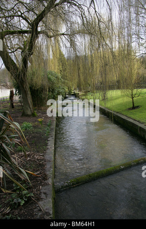 Itchen River, Winchester, Hampshire, Royaume-Uni Banque D'Images