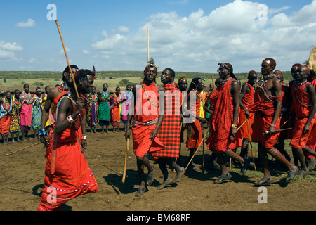 La danse des guerriers Masai, Masai Mara, Kenya, Afrique de l'Est Banque D'Images