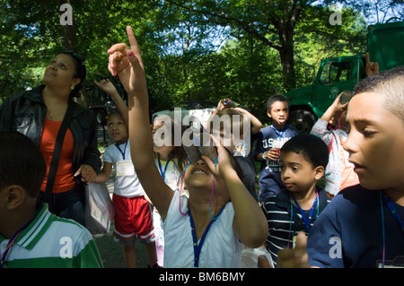 Les étudiants de première année rendez-vous l'observation des oiseaux dans Central Park à New York avec des jumelles Banque D'Images