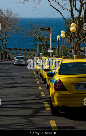 Ligne de voitures de taxi jaunes taxis taxis taxi cabine garée en attente pour affaires au bord de la route Funchal Madeira Portugal UE Europe Banque D'Images