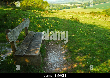 Vue sur le site Linky en bas de marche, la réserve naturelle nationale (NNR) dans les Chilterns, Oxfordshire, Royaume-Uni Banque D'Images