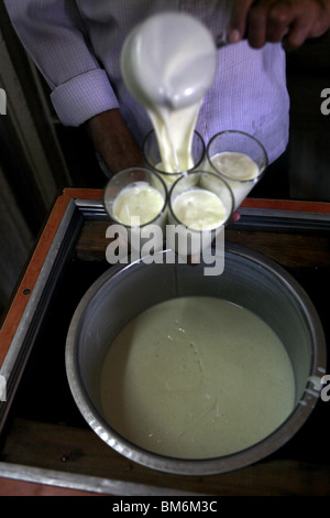 Un homme verse lassi yaourt indien ( boisson ) à l'Sardar Market Jodhpur, Rajasthan, Inde. Banque D'Images