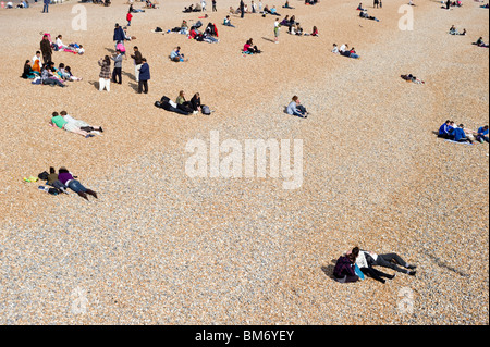 Les gens, les touristes, les baigneurs et les excursionnistes de dégustez une cuisine ensoleillée à bronzer sur la plage de galets de la côte du Sussex Brighton UK Banque D'Images