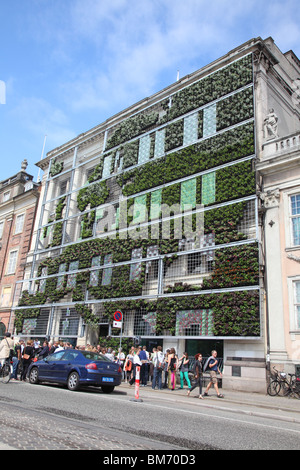 Copenhague le 22 mai 2010 - Cérémonie d'inauguration du salon vert, façade de l'Agence européenne pour l'environnement - l'Europe en fleur Banque D'Images