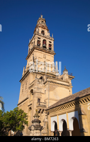 Cordoue, Espagne, province de Cordoue. Torre del Alminar de la Grande Mosquée vue de la Plaza de los Naranjos. Banque D'Images