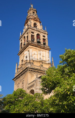 Cordoue, Espagne, province de Cordoue. Torre del Alminar de la Grande Mosquée vue de la Plaza de los Naranjos. Banque D'Images