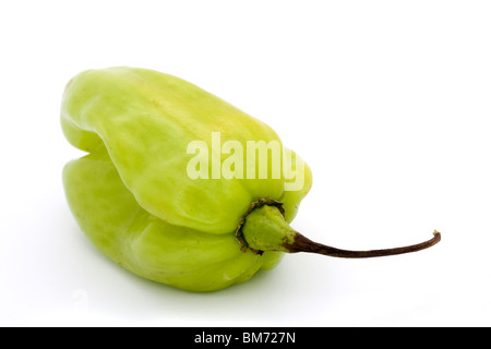 Piment scotch bonnet vert sur fond blanc Banque D'Images