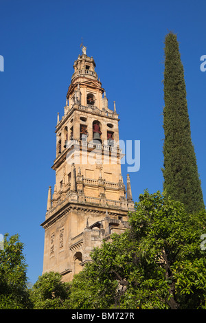 Cordoue, Espagne, province de Cordoue. Torre del Alminar de la Grande Mosquée vue de la Plaza de los Naranjos. Banque D'Images