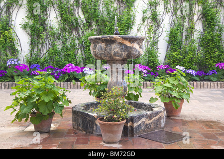 Cordoue, Espagne, province de Cordoue. Patio de los Jardineros, ou la Cour du jardinier, dans la région de Palacio de Viana. Banque D'Images