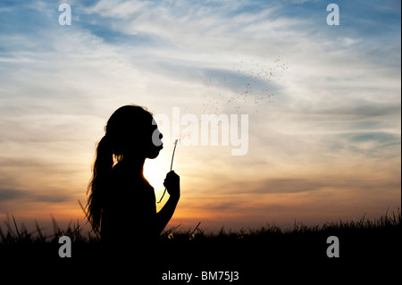 Silhouette d'une jeune girl blowing dandelion seed head au coucher du soleil. Banque D'Images