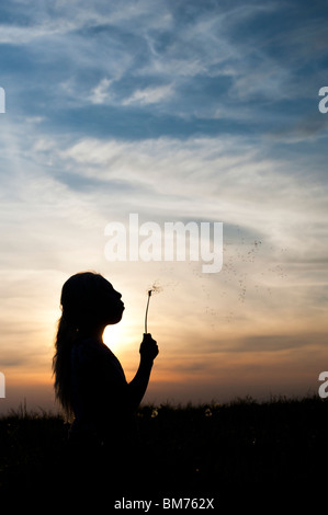 Silhouette d'une jeune girl blowing dandelion seed head au coucher du soleil. Banque D'Images