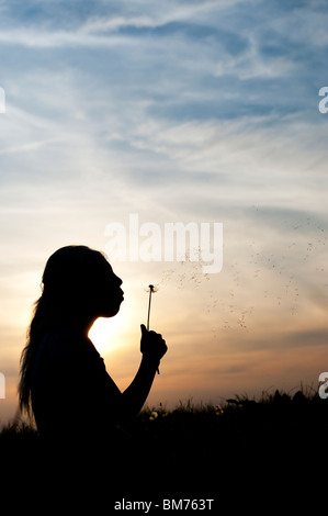 Silhouette d'une jeune girl blowing dandelion seed head au coucher du soleil. Banque D'Images