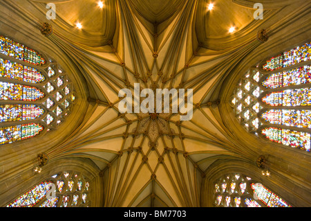Toit orné de la Lady Chapel Wells Cathedral Angleterre Somerset Banque D'Images