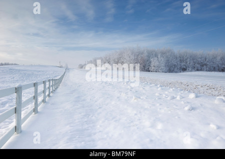 Winter Wonderland - Strathcona County (à l'est d'Edmonton, Alberta, Canada) Banque D'Images