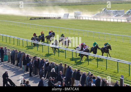 Course de chevaux sur le plat à la Warwick Races, UK Banque D'Images