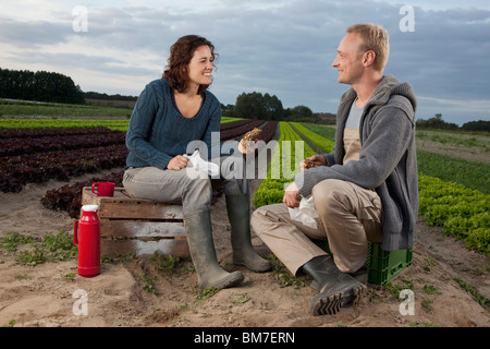 Un homme et une femme en train de déjeuner ensemble par un champ de laitue Banque D'Images