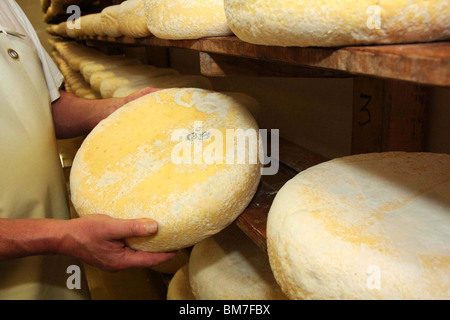 Le fromage, "Bleu de Bresse" Banque D'Images