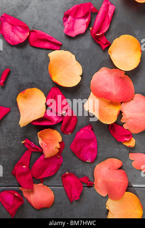 Des pétales de rose éparpillés sur le sol Banque D'Images