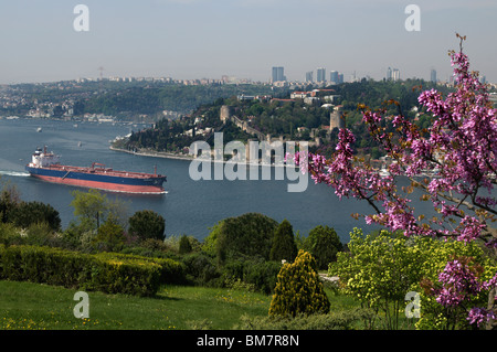 Rumeli Hisari,château forteresse Thrace,1452,judas tree,donnant sur le Bosphore, Istanbul Banque D'Images