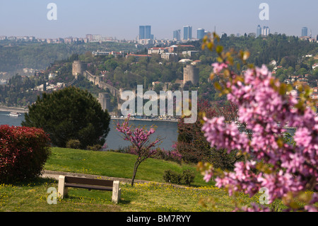 Rumeli Hisari,château forteresse Thrace,1452,judas tree,donnant sur le Bosphore, Istanbul Banque D'Images