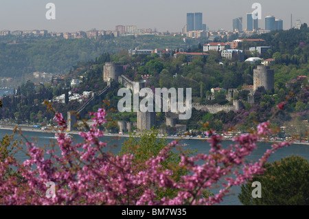 Rumeli Hisari,château forteresse Thrace,1452,judas tree,donnant sur le Bosphore, Istanbul Banque D'Images