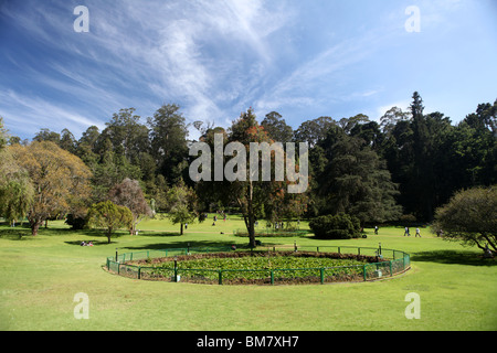 Les jardins botaniques à Ooty, abréviation de Ootacamund, un station balnéaire dans la région de Tamil Nadu, Inde. Banque D'Images