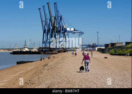 Les gens qui marchent sur la rive de Languard Point près de la port de Felixstowe dans le Suffolk. Banque D'Images