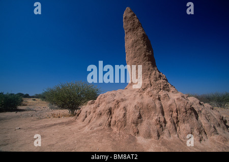 Termitière, Okinjima, Namibie Banque D'Images