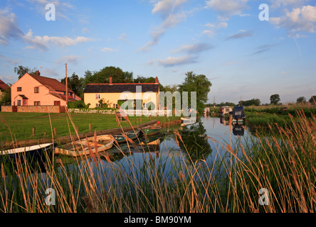 La première lumière sur les Norfolk Broads à Cromer Staithe, Norfolk, Angleterre, Royaume-Uni. Banque D'Images