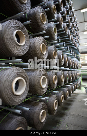 Revêtement en tissu, tissage, ministère de l'usine se détendre creel Banque D'Images