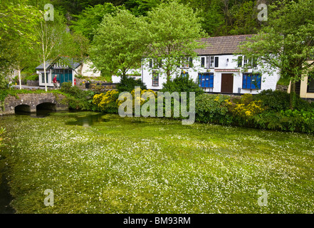 Le Mill Pond Cheddar Gorge Angleterre Somerset Banque D'Images