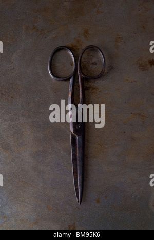 Old rusty coiffeur scissor sur fond sombre Banque D'Images