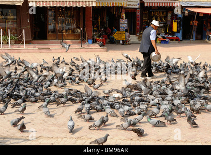 Homme tibétain de nourrir les pigeons à boudhanath ,l'un des sites bouddhistes les plus sacrés à Katmandou, Népal Banque D'Images