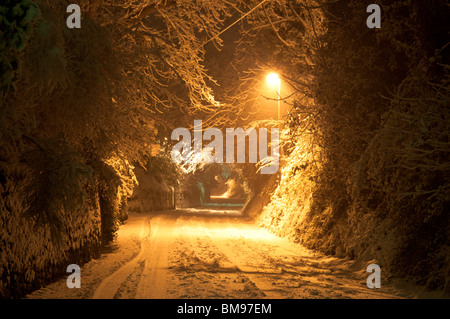 Neige abondante la nuit dans la voie de campagne ou la route éclairée par le lampadaire, June Lane, Midhurst, West Sussex, Royaume-Uni. 2010 Banque D'Images