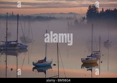 Vashon Island, WA : couches de brouillard au-dessus de levage des bateaux en intendance Harbor à l'aube Banque D'Images