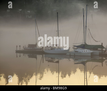 Vashon Island, WA : couches de brouillard au-dessus de levage des bateaux en intendance Harbor à l'aube Banque D'Images