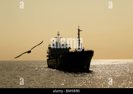 Seagull navire de passage en attente dans l'océan Pacifique pour entrer dans le canal de Panama, Panama Banque D'Images