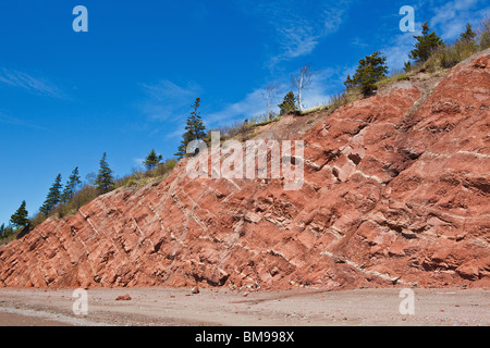 Rivage rocheux à Clark Head - Baie de Fundy près de Parrsboro, N.-É., Canada Banque D'Images