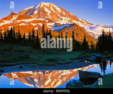 Le mont Rainier Natl Park, WA : lumière du soir sur le sommet du Mont Rainier Banque D'Images