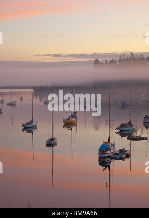 Vashon Island, WA couches de brouillard au-dessus de l'anneau de levage bateaux dans Intendance Harbor à l'aube Banque D'Images