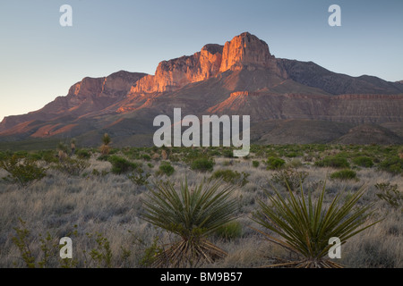 El Capitan, Guadalupe Mountains National Park, Texas Banque D'Images