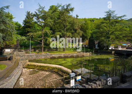 Le Mill Pond Cheddar Gorge Angleterre Somerset Banque D'Images