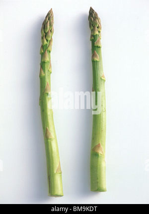 Les asperges Banque D'Images