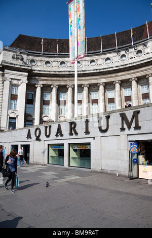 L'Aquarium de Londres, Southbank, Londres, Angleterre Banque D'Images