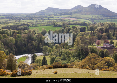 L'Eildon Hills dans la région des Scottish Borders UK au printemps - Scott's View de la Tweed Valley et les collines Banque D'Images