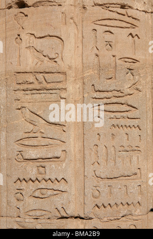 Hiéroglyphes sur les murs du temple de Horus à Edfou, Egypte Banque D'Images