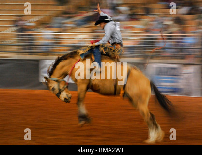 Amérique du Nord, Etats-Unis, Floride, Kissimmee, Cowboy équitation un cheval sauvage à un rodéo d'auditoire montres. Banque D'Images